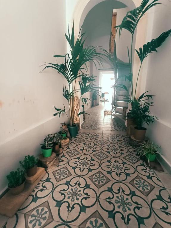 Dhara House Malta Paola Exterior foto